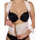 1505 GrM Back & Waist Support Belt - Medium