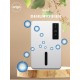 Mini Dehumidifier