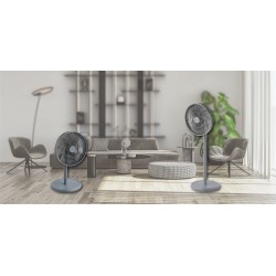 origo CF1820 2 In 1 DC 12"Desk/Stand Fan