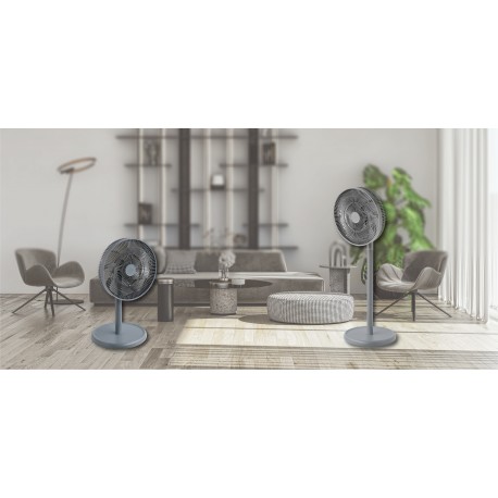 origo CF1820 2 In 1 DC 12"Desk/Stand Fan