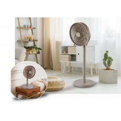 origo CF1822 2 In 1 DC 12"Desk/Stand Fan