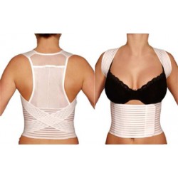 1505 GrL Back & Waist Support Belt - Large